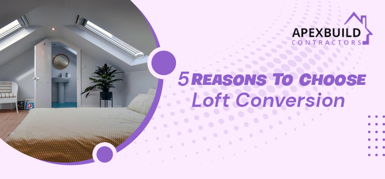 What are the 5 critical factors to opting for a professional loft conversion?